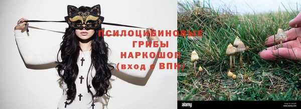МДПВ Магас