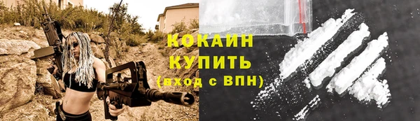 прущие грибы Мегион