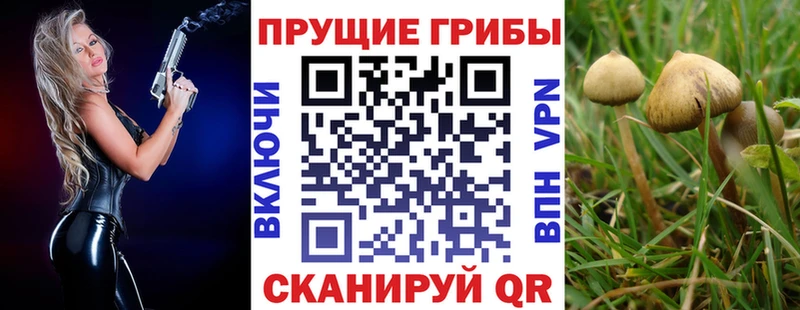 Псилоцибиновые грибы MAGIC MUSHROOMS Купить где Белово